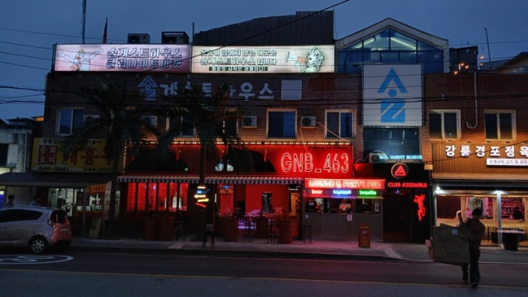  [강릉숙소/경포해변근처]파티 게하 솔 게스트하우스 경포본점 가격, 위치, 내부 후기