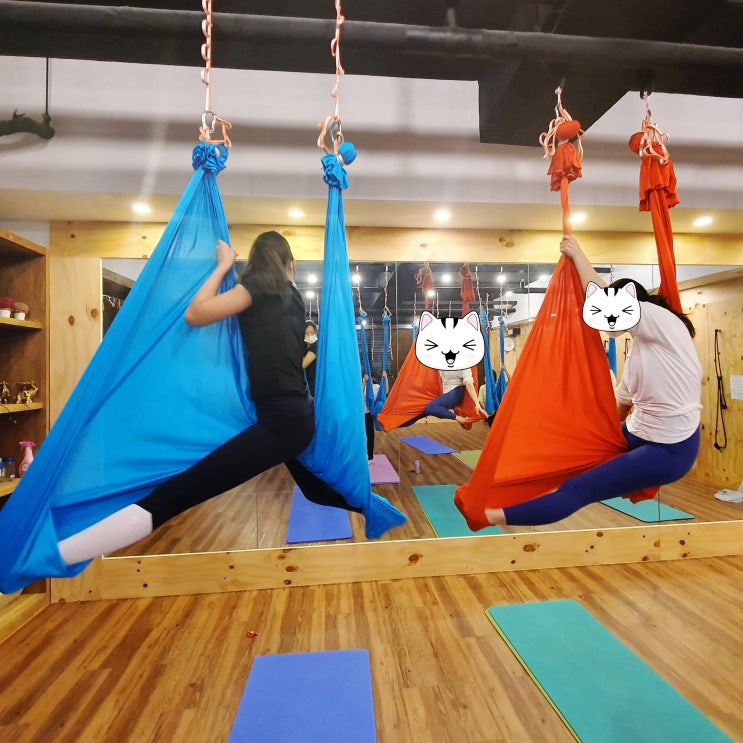  [용인요가, 동백요가] 운동도 재미있게! 이지요가에서 신나는 플라잉요가를 만나보세요 (중, 고등반) 동백이지요가