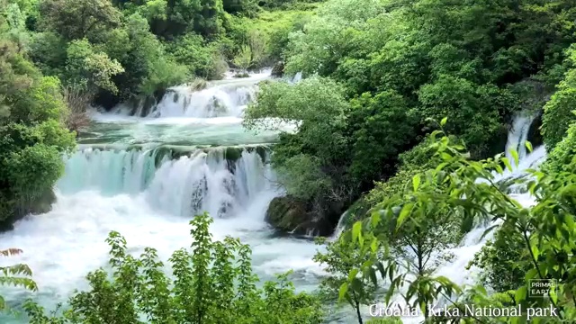  반려동물관리사 학원 , 반려동물관리사 자격증 15일 만에 합격한 비법 , 전망