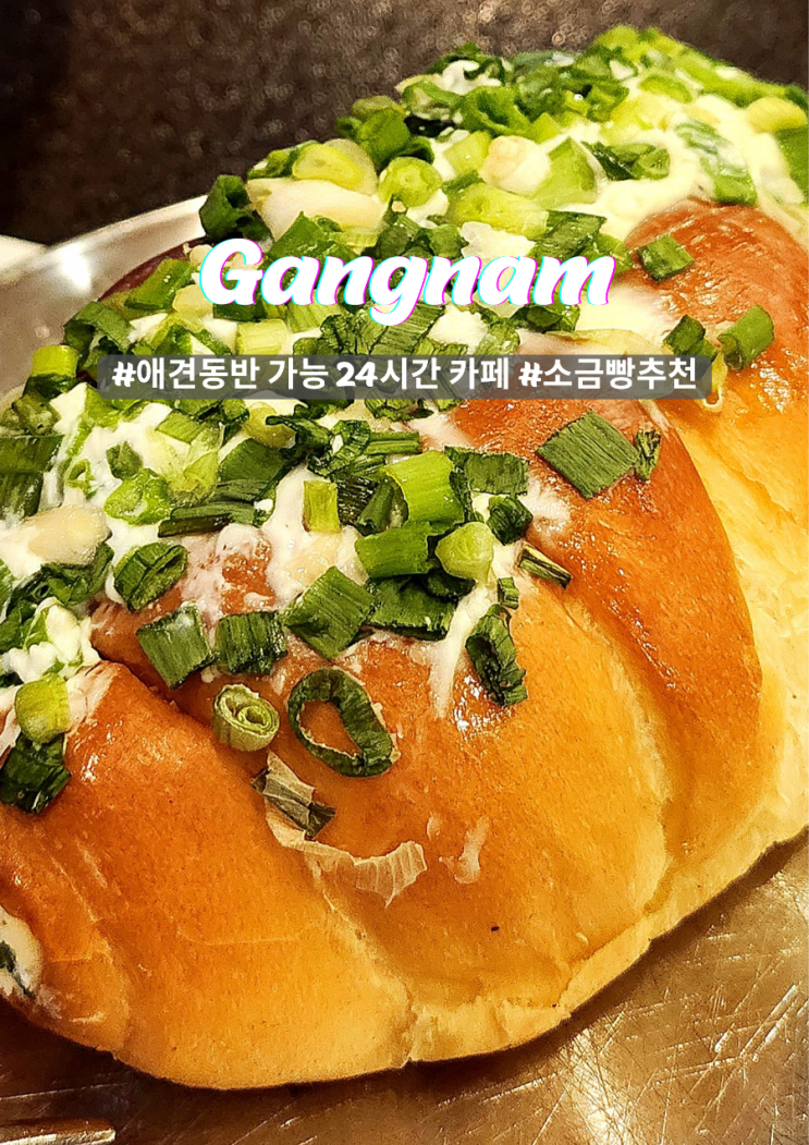  차병원사거리 하이테이블 애견동반 24시간 대형 카페