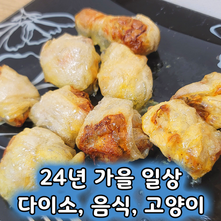  24년 가을 일상 7편 다이소, 음식, 고양이