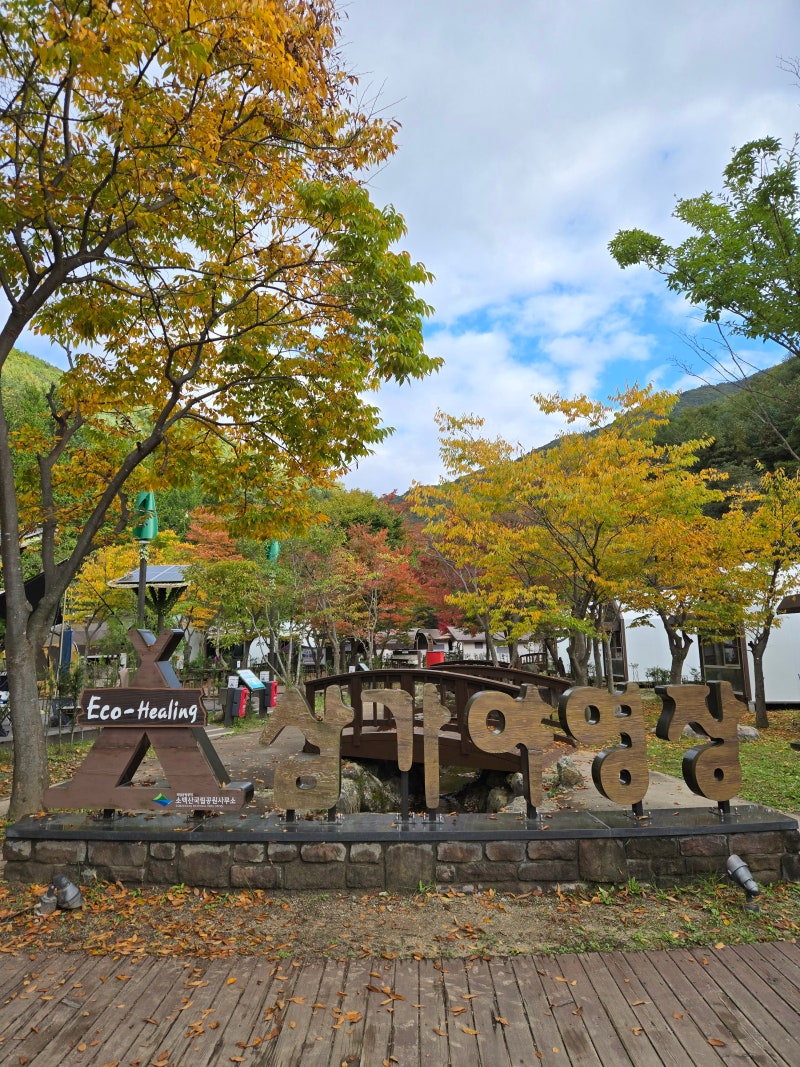 소백산 국립공원 삼가야영장