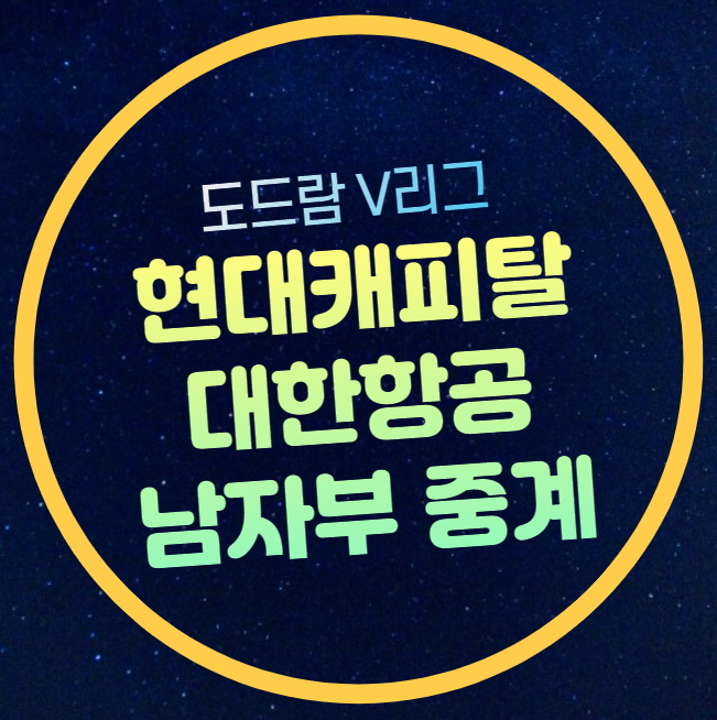 <b>현대캐피탈 대한항공</b> 배구... 무료 채널 GS칼텍스 현대건설