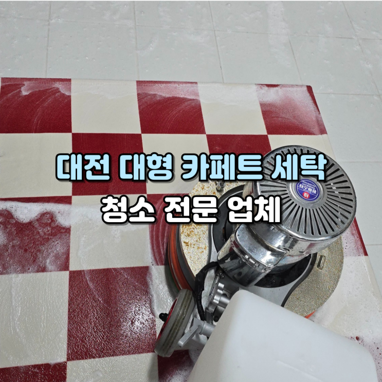  대전 카페트 방문수거 청소 전문업체