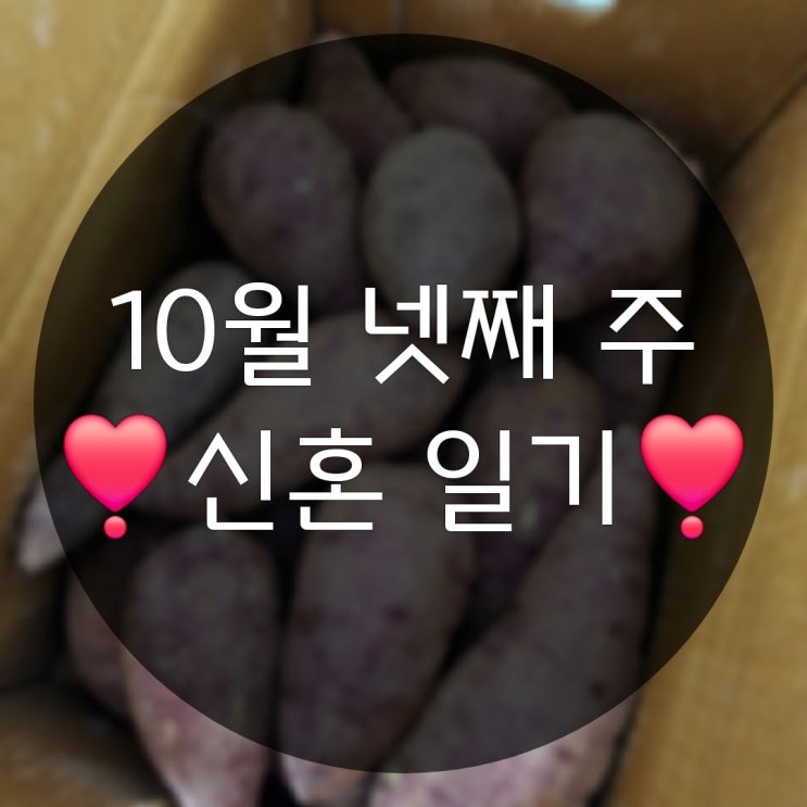  10월 넷째 주의 일상기록(피의게임시즌1 춘천더클래식돌잔치)
