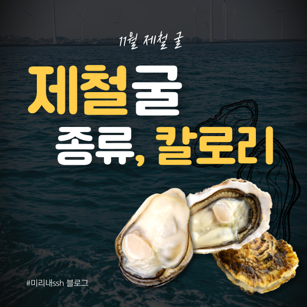  제철 굴 종류, 효능과 칼로리