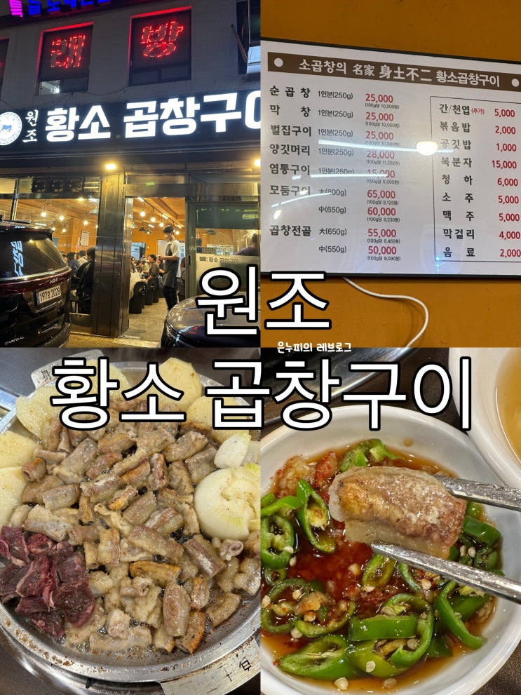  신정네거리 원조 황소곱창구이 30년 동네 대장 곱창 찐 맛집