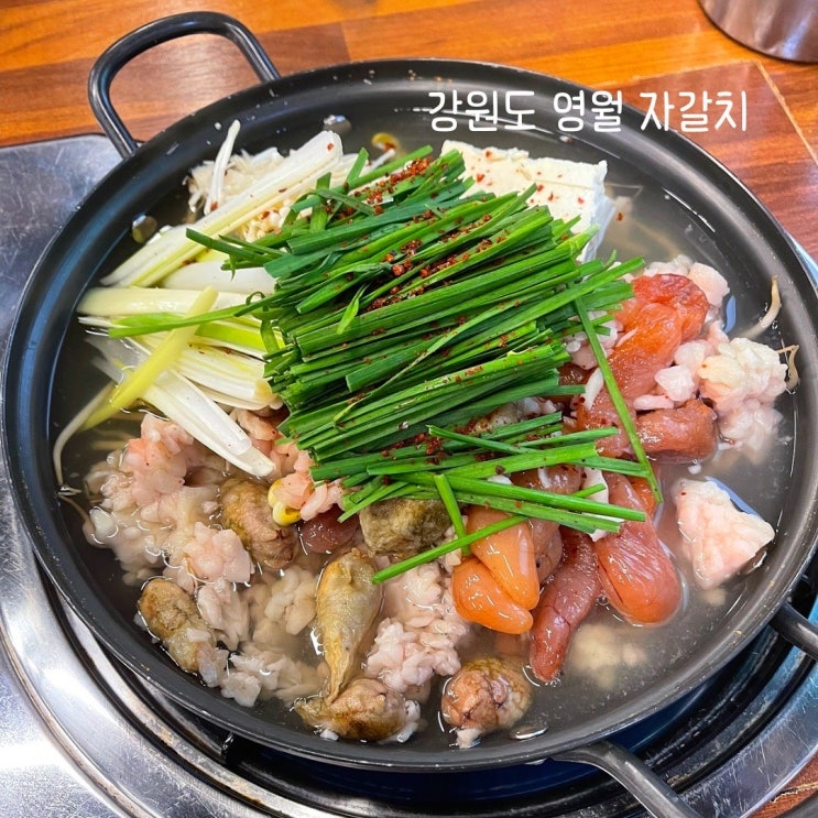  강원도 영월 맛집 자갈치 신선한 알탕 또 먹고 싶은 맛 +생선구이, 석쇠불고기