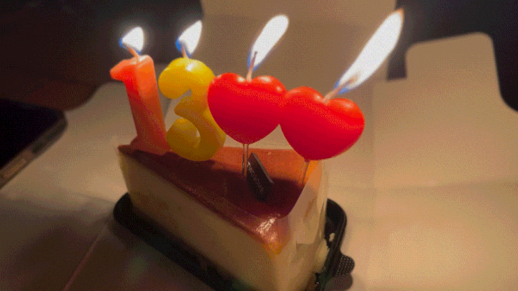  몰아 쓰는 일상ㅣ할로윈ㅣ남친과의 기념일 & 생일 캠핑