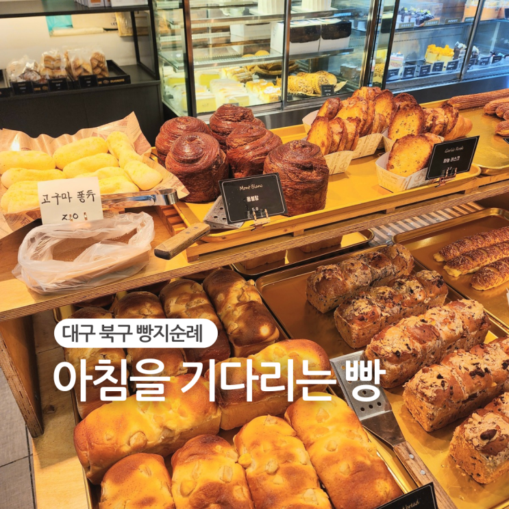  대구 칠곡 빵집 아침을 기다리는 빵 빵지순례 성공적!