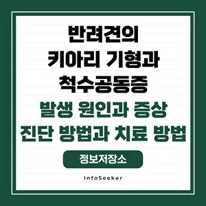  반려견의 키아리 기형과 척수공동증의 발생 원인과 영향, 진단 방법과 관리 방법