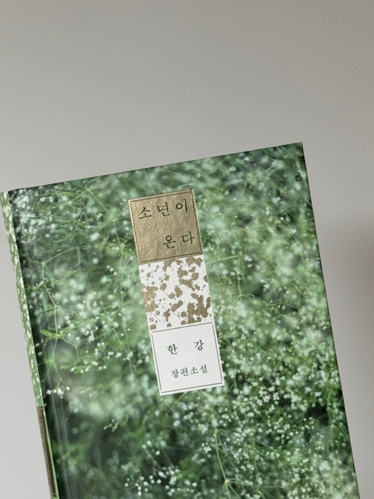  [소년이 온다] 아물지 않는 5월의 기억