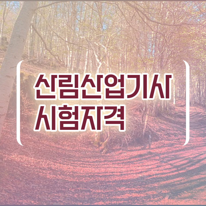  산림산업기사 신청 산림산업기사 응시조건 독학으로 쉽고 빠르게 완료한 전략