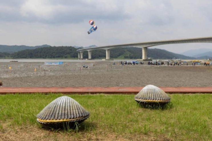  2024 벌교꼬막축제 기본정보, 보성꼬막체험