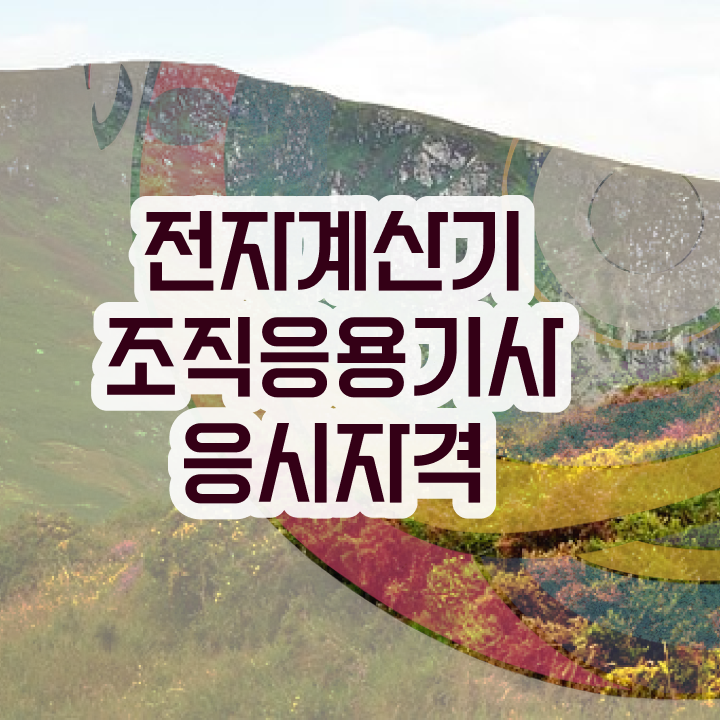  전자계산기조직응용기사 응시자격 서류제출 전자계산기조직응용기사 시험응시자격 집에서 온라인으로 빠르게 성공한 비법
