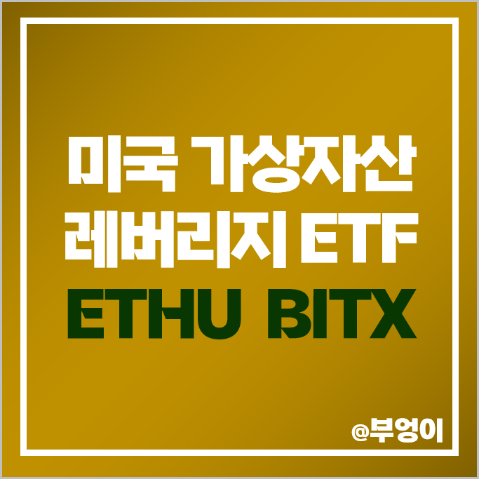 이더리움 비트코인 관련주 미국 레버리지 ETF ETHU BITX 주가 이더리움 비트코인 관련주 미국 레버리지 ETF ETHU BITX 주가