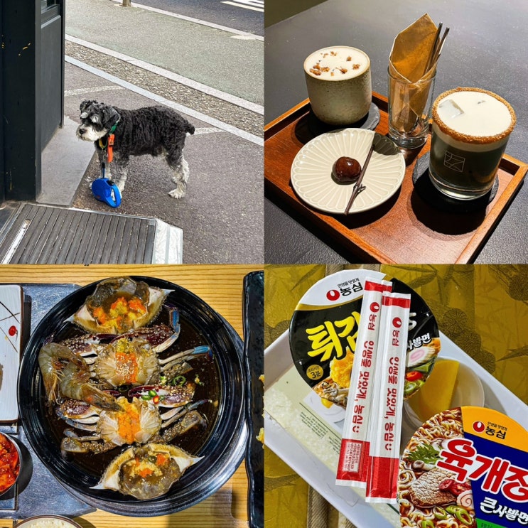  10월 넷째 주 일상 블챌 시즌2 마지막 돼지런한 일상