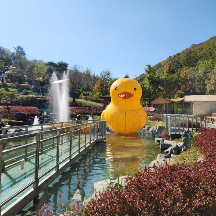  파주 불멍카페 콘소넌스 카페, 다양한 원두와 빵 그리고 강아지 동반 가능한 동화 힐링캠프 맛보기
