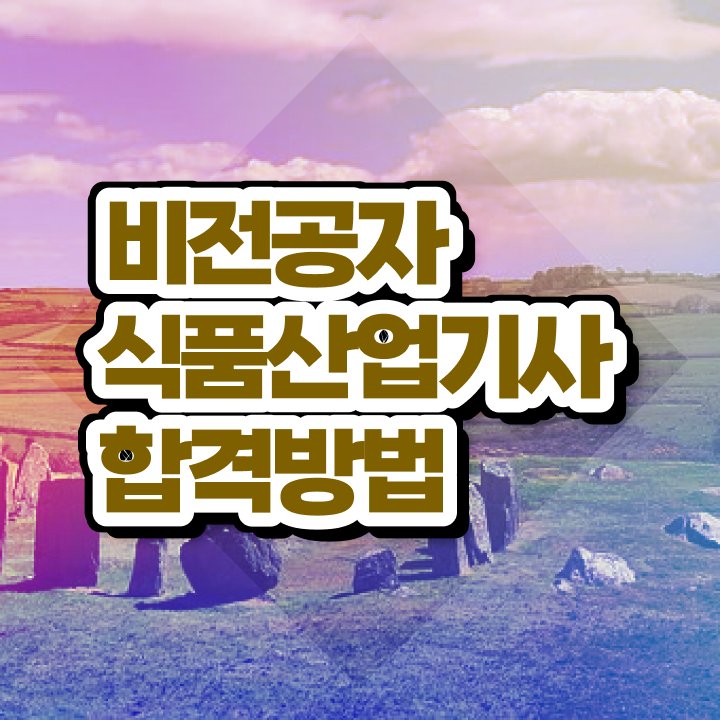  식품산업기사 식품산업기사 자격요건 온라인으로 빠르게 완료한 과정