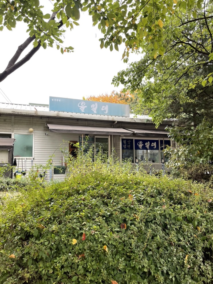  일산 을밀대 평양냉면 전문점 거냉 비냉 비추 후기