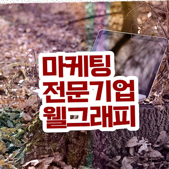  마케팅 솔루션 , 랜딩페이지 쇼핑몰 제작 가능합니다