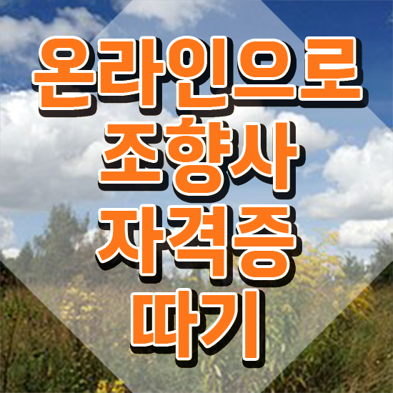  , 온라인으로 손쉽게 조향사 준비한 방법