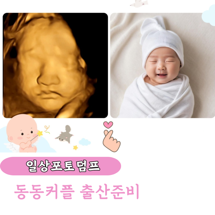  일상포토 덤프 동동커플 출산준비 임신축하선물박스 그 외 내돈내산 제품 소개