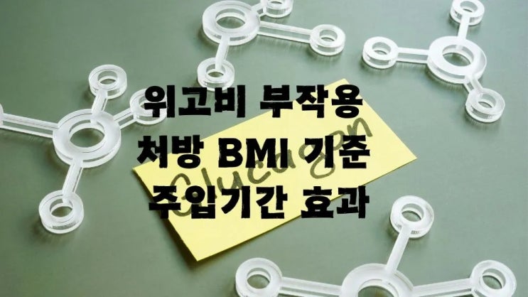  위고비 부작용 처방 BMI 기준 주입기간 효과