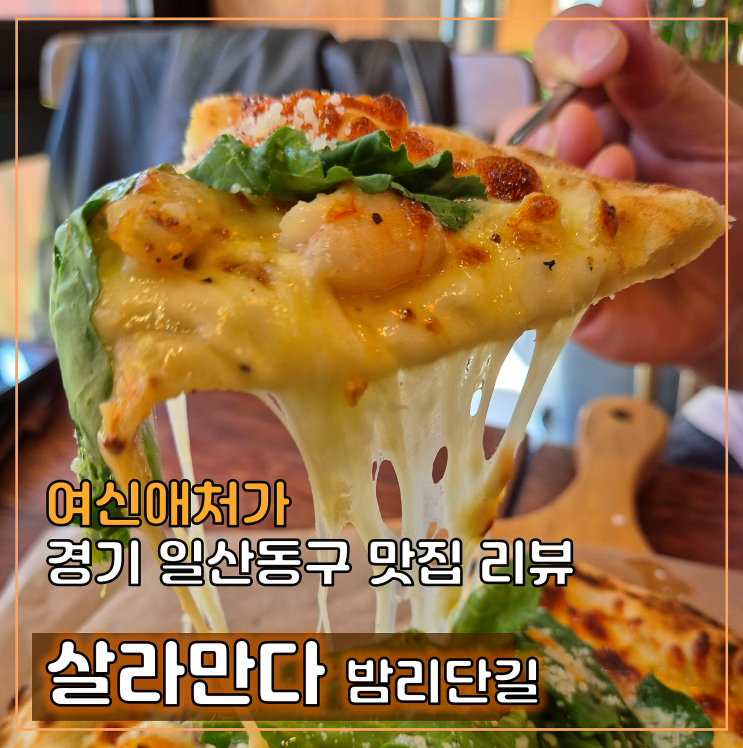  고양 일산 카페살라만다, 밤리단길 카페 피자 맛집