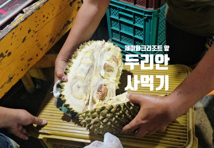 세부 제이파크 리조트 거리에서 두리안 먹기