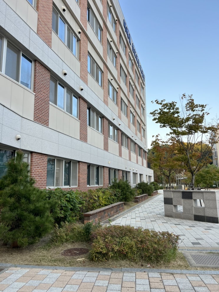  면접 컨설팅 출장 후기