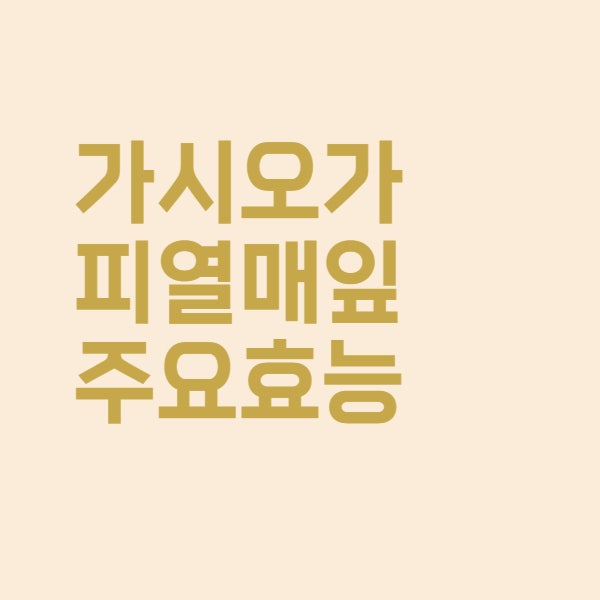 가시오가피 성분과 가시오갈피 열매 잎의 효능