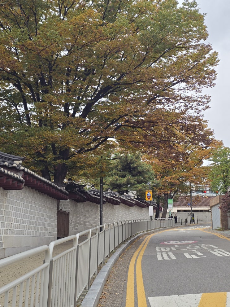  주말등산 인왕산 자락길 등산 코스 단풍 현황 야간등산 추천