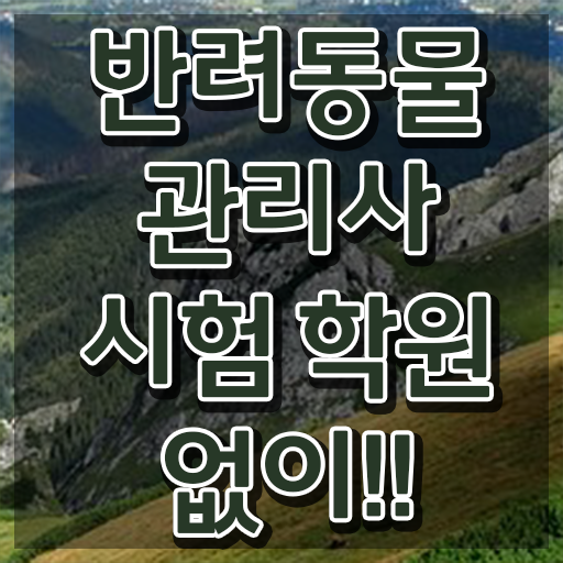  반려동물식품관리사 , 반려동물관리사 자격증 응시자격 없이 취득한 방법 및 활용 방법