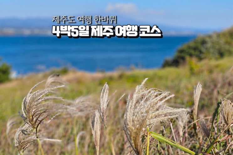  4박5일 제주 여행 제주도 가족여행 코스 추천