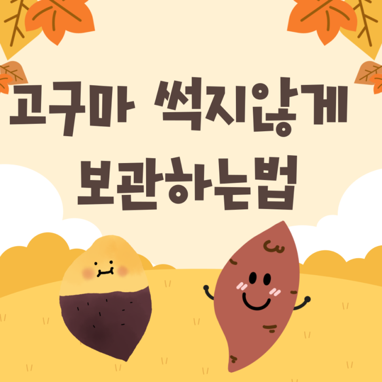  고구마 썩지않게 오랫동안 보관하는 방법