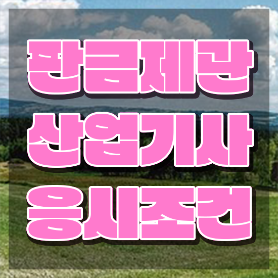  판금제관산업기사 응시조건 인강만 듣고 간편하게 준비한 전략