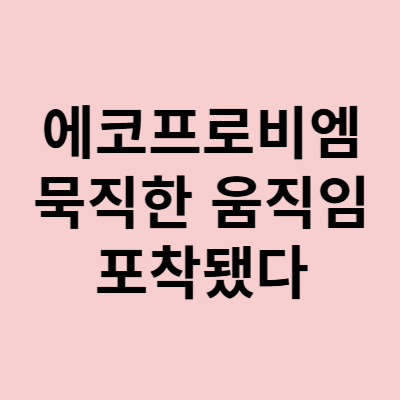  에코프로비엠 주가, 코스닥 시총 2등 대장의 움직임!