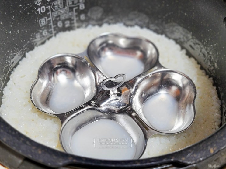  저당밥 트레이 원리 이고다 저당밥 저당 플레이트