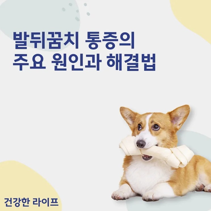  발뒤꿈치 통증의 주요 원인과 해결법