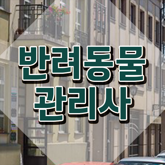  반려동물종합관리사 , 반려동물관리사 자격증 학습한 후기 짚어드려요