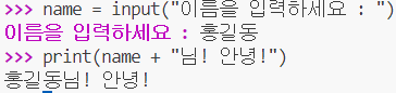  Python 입력