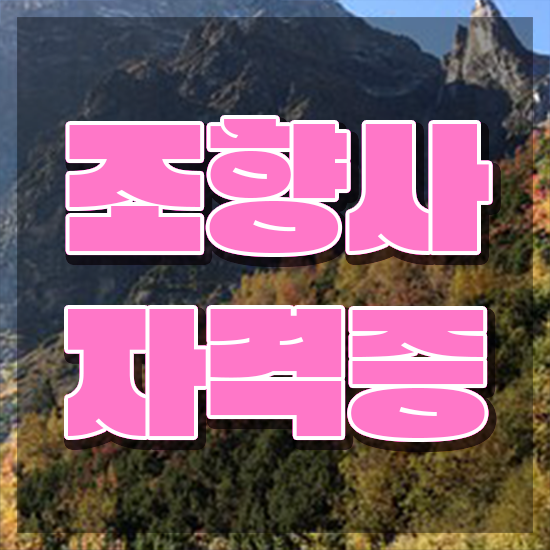  40대여자자격증 , 관련학과 아니어도 조향사 발급받아 보세요