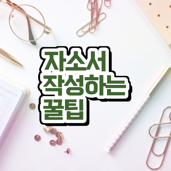  , 자기소개서지도사 자격증 응시자격 없이 합격한 전략 , 이후 전망
