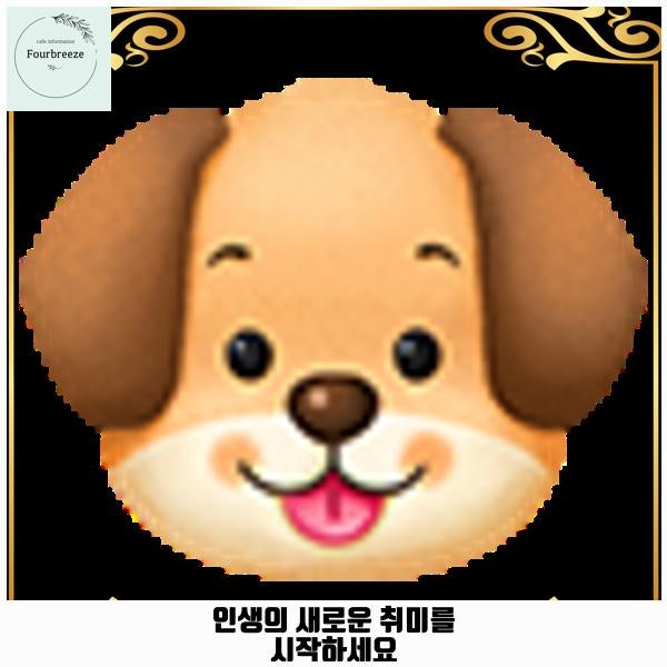 사진 4
