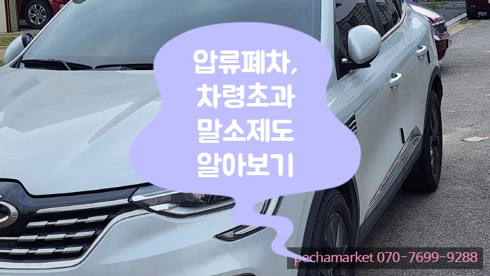 압류폐차, 차령초과말소제도 알아보기