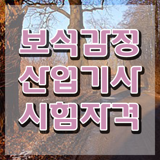  보석감정산업기사 응시조건 집에서 온라인으로 간단하게 준비한 과정