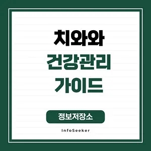  치와와 건강관리 가이드