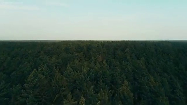  병원코디네이터 자격증 취업 , 병원코디네이터 자격증 독학으로 준비한 과정 , 향후 전망