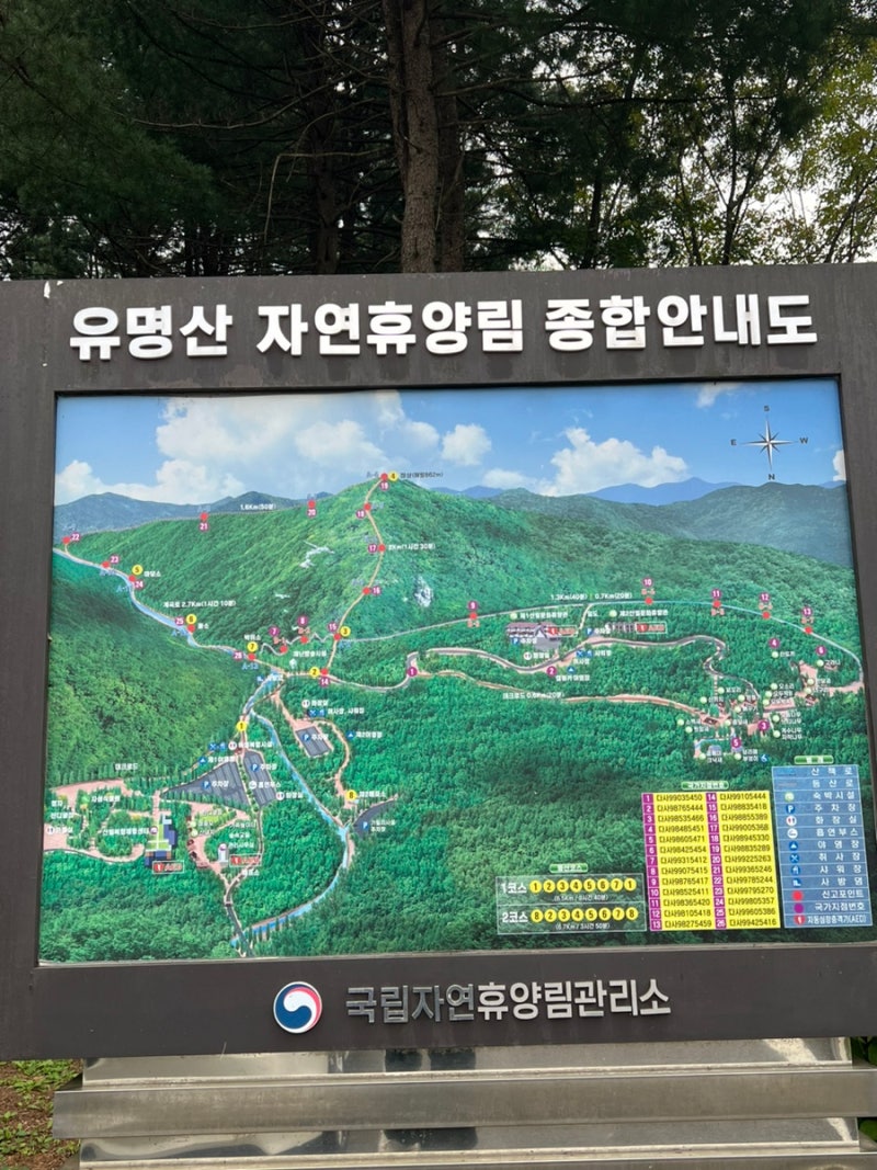 서울근교 가평 유명산자연휴양림 캠핑장 솔캠 백패킹후기 꿀팁